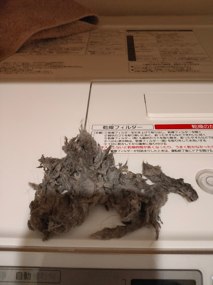 パナソニック　ドラム式乾燥付洗濯機乾燥が悪くなり出てくるホコリ